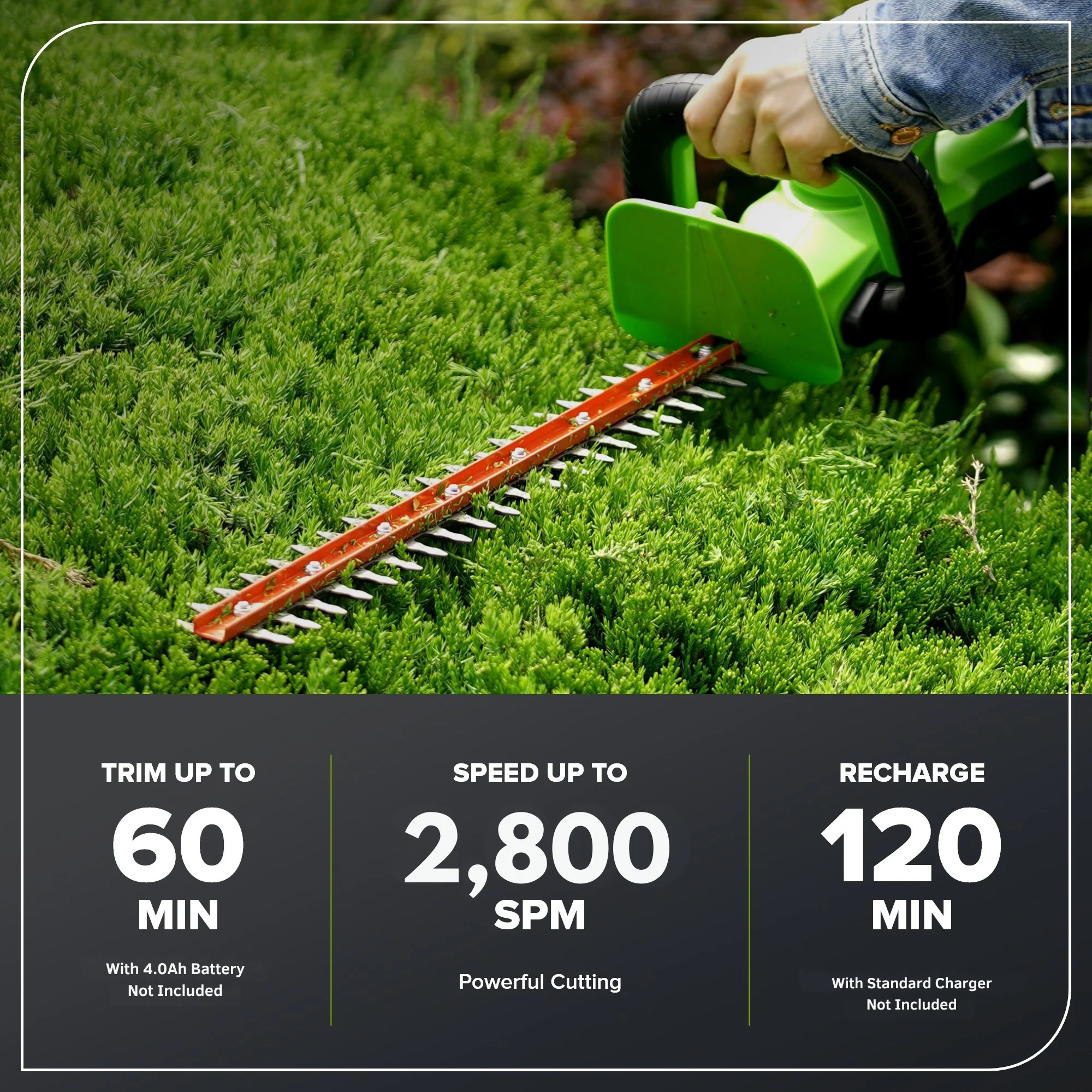 24V 22" Cordless Battery Hedge Trimmer 2800 SPM (Tool Only) - Image 3