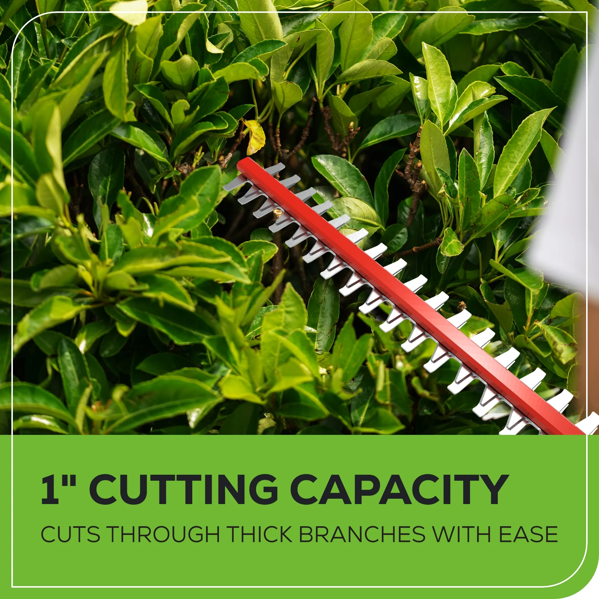 40V 20" Cordless Battery Pole Hedge Trimmer w/ 2.0 Ah Battery & Charger - Image 9