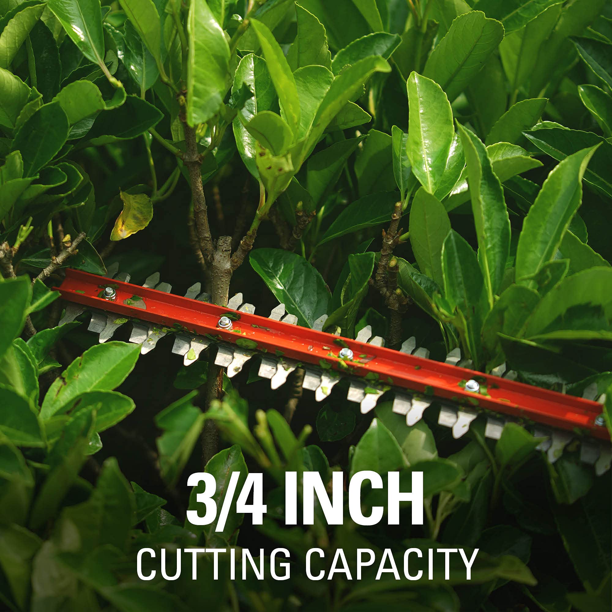 48V (24V x 2) 15" Cordless Battery TORQDRIVE String Trimmer Combo Kit, 24V 320 CFM Blower and 24V 22" Hedge Trimmer: (2) 2.0 Ah USB Batteries and Charger - Image 14