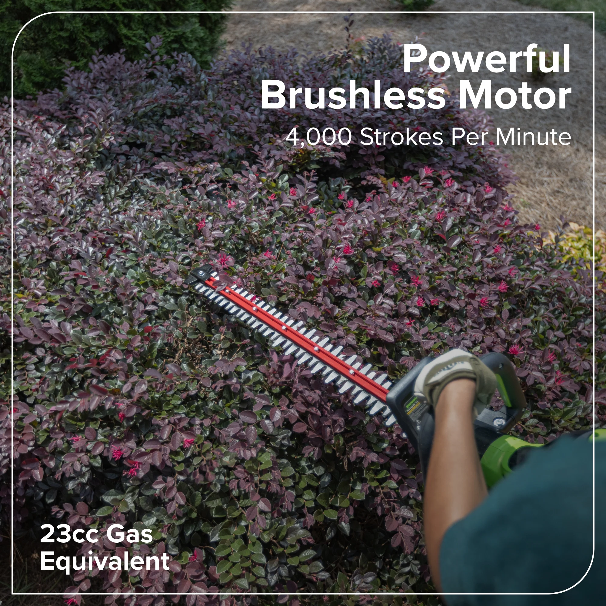 60V 26" Cordless Battery Hedge Trimmer 4000 SPM, 2Ah Battery and 3A Charger - Image 4