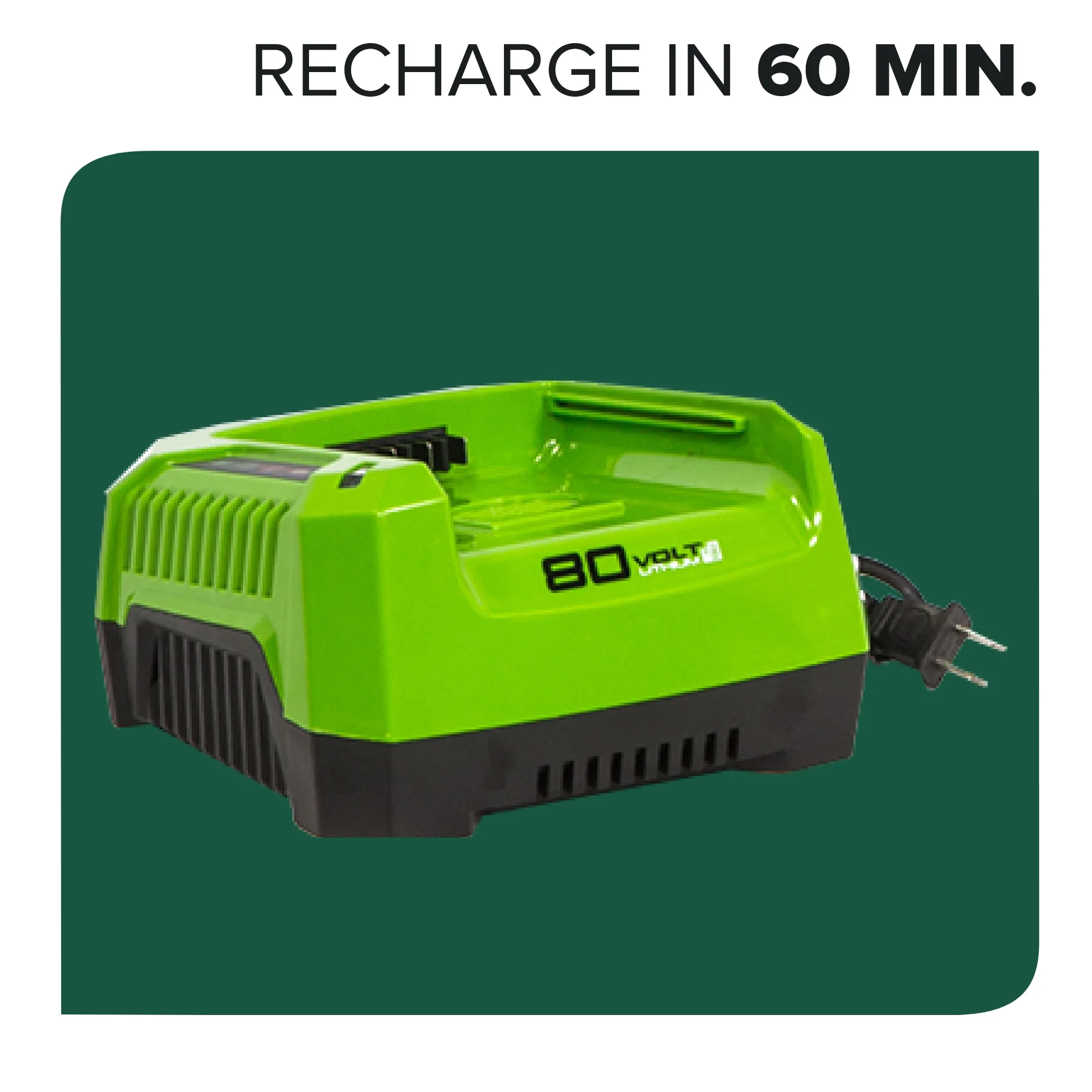 80V 20" Cordless Battery Chainsaw: 4.0 Ah Battery and Charger - Image 11