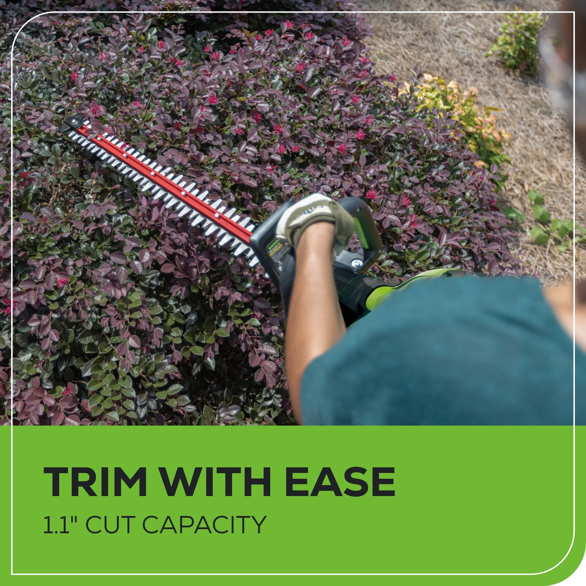 80V 26" Cordless Battery Hedge Trimmer (1.1" cut, 4000 SPM): 2.0 Ah Battery and Charger - Image 8