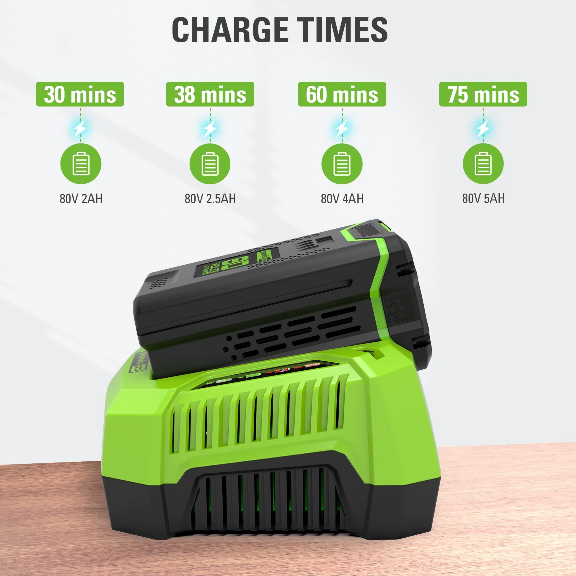 RENEWED 80V 4A Rapid Battery Charger - Image 4